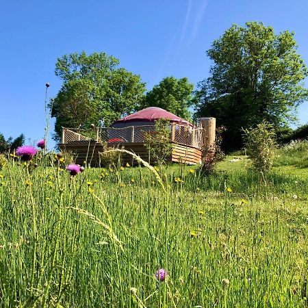 Yourte 2-4 Personnes Avec Spa Saint-Laurent-de-Lévézou Exteriér fotografie